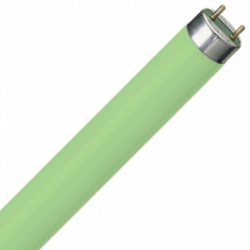 fenycso-18w-66-t8-g13-590mm-zold-osram
