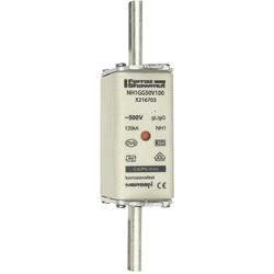 keses-bizosito-betet-nh1-50a-371650-371650mschneider